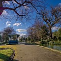 Crownest Park Lake